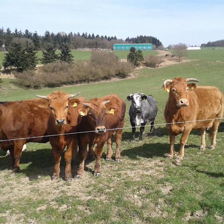 Ferienwohnung Scheid Lahr  Zewnętrze zdjęcie