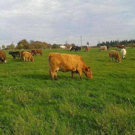 Ferienwohnung Scheid Lahr  Zewnętrze zdjęcie