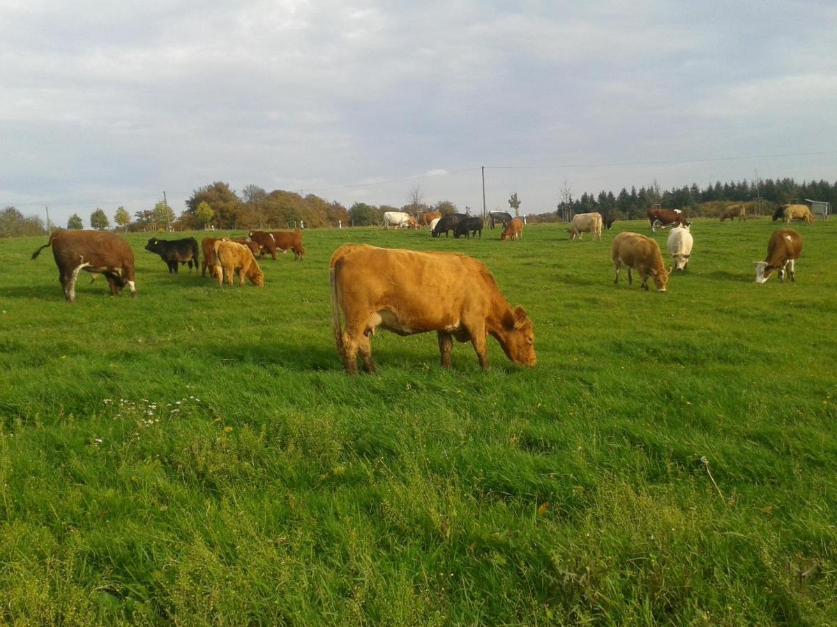 Ferienwohnung Scheid Lahr  Zewnętrze zdjęcie